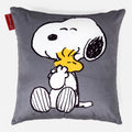 Snoopy Objatie